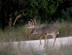 website_img_618820