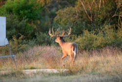 website_img_671620